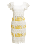 Lumiére Margarita ✨